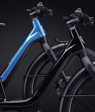 Harley-Davidson RUSH CITY ST